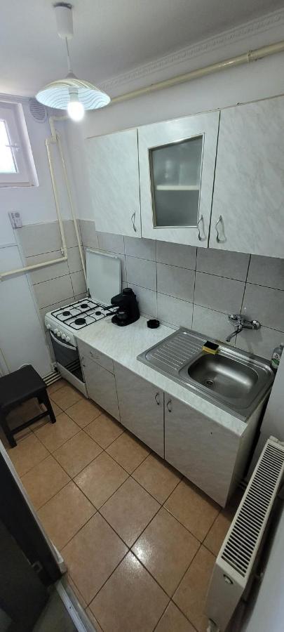 Flora Apartment Satu Mare Exterior foto