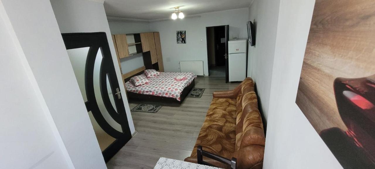 Flora Apartment Satu Mare Exterior foto